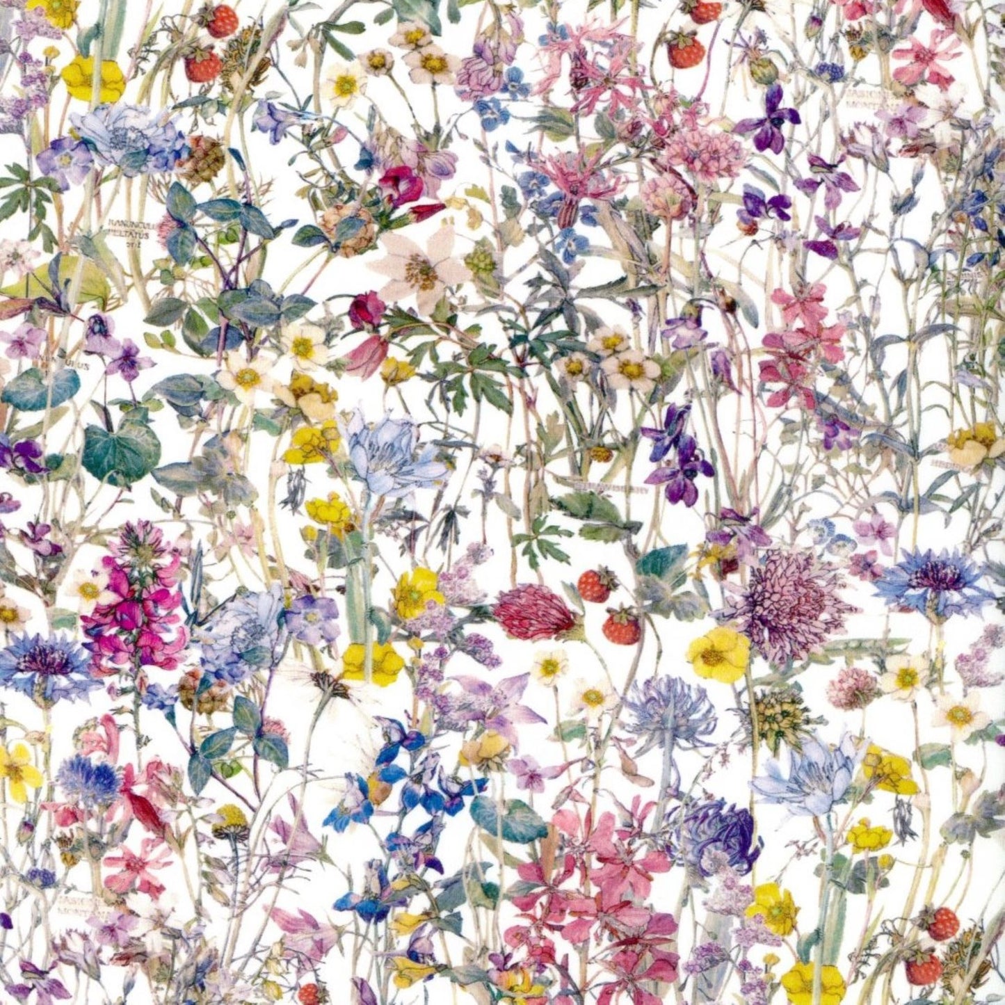 Liberty Tana Lawn - Wildflowers A cotton fabric by the Fat Quarter